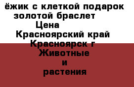 `ёжик с клеткой подарок золотой браслет 585 › Цена ­ 5 000 - Красноярский край, Красноярск г. Животные и растения » Другие животные   